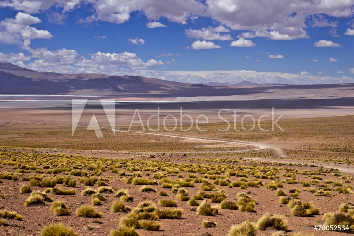Image de Deserto di DalBolivia
